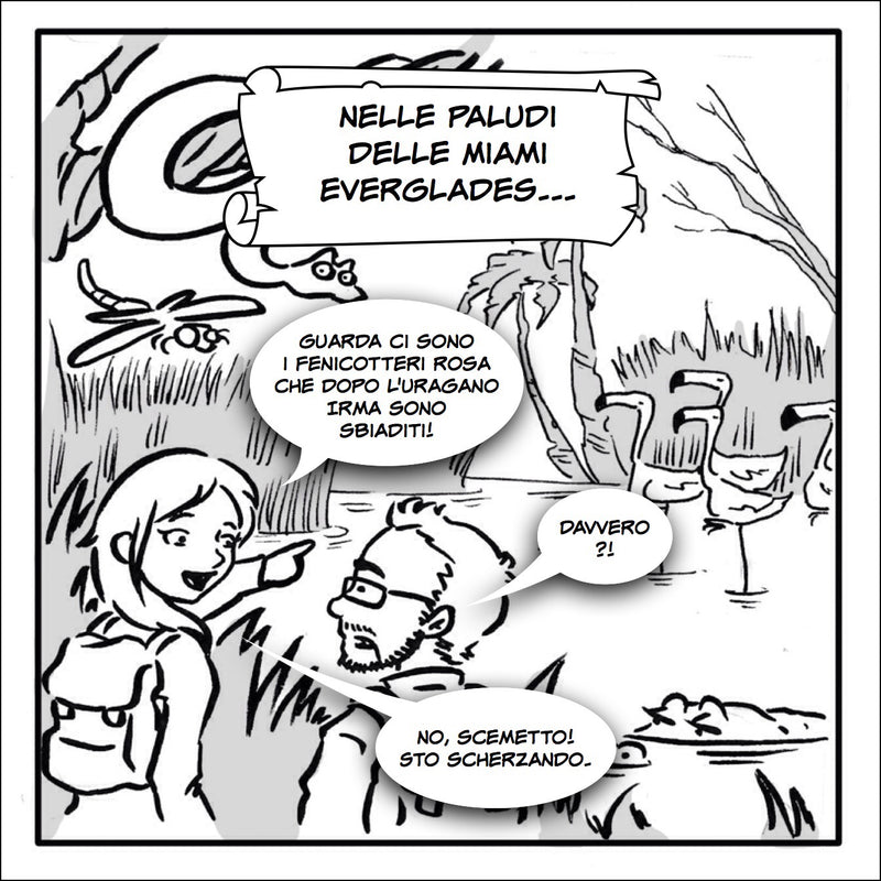 storia di viaggio a fumetti